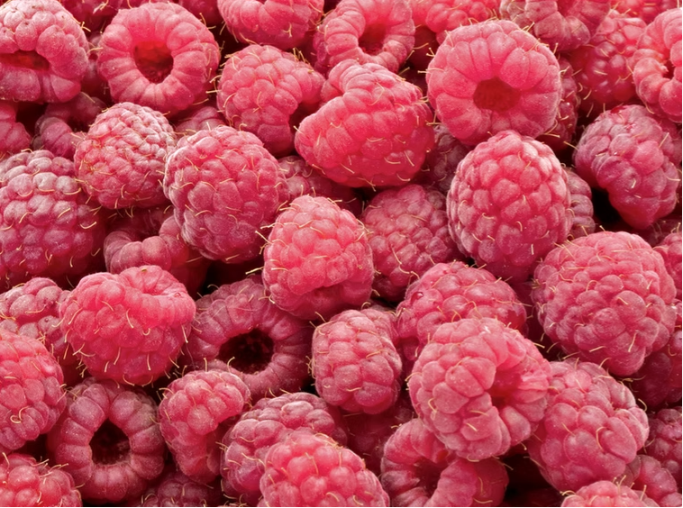 Fruit